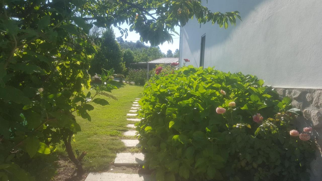 Quinta Do Serrado De Belmonte Belmonte  Esterno foto