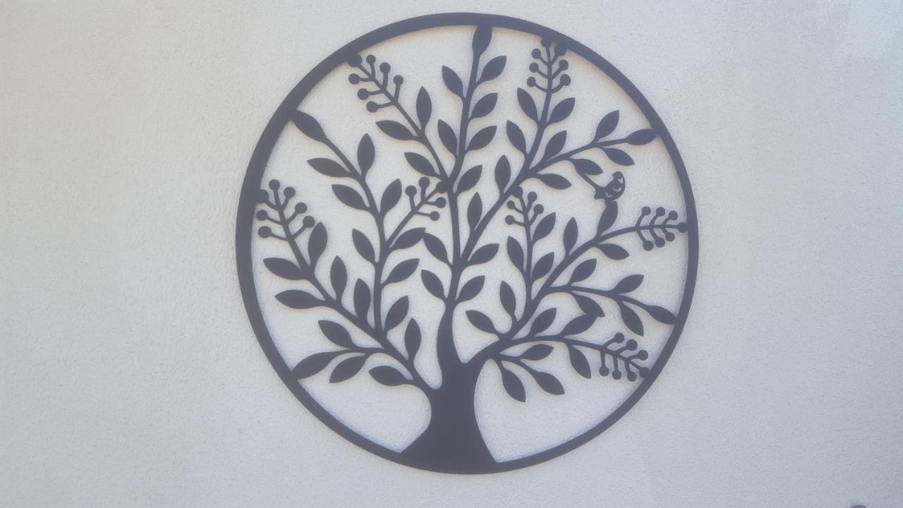 Quinta Do Serrado De Belmonte Belmonte  Esterno foto
