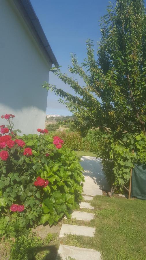 Quinta Do Serrado De Belmonte Belmonte  Esterno foto