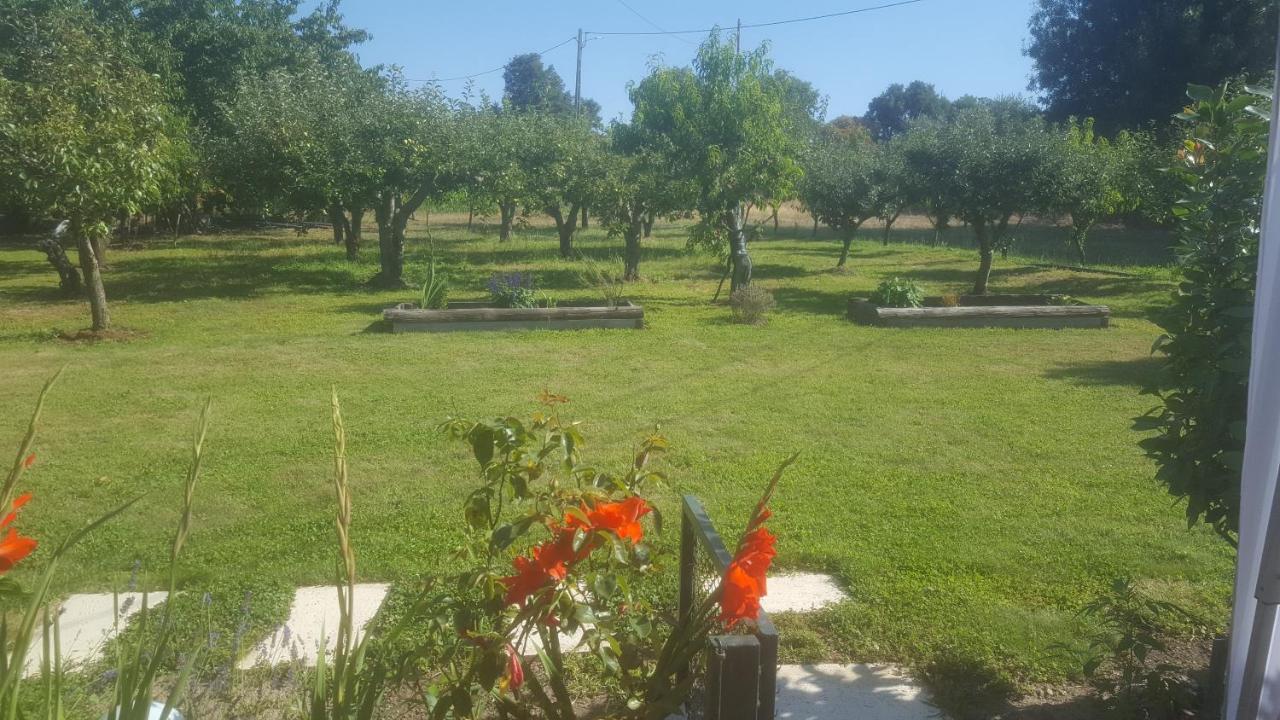 Quinta Do Serrado De Belmonte Belmonte  Esterno foto
