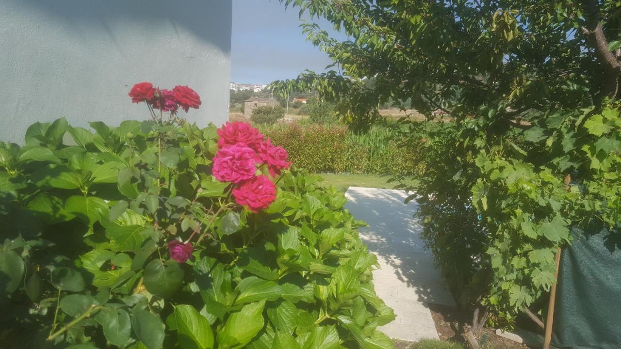 Quinta Do Serrado De Belmonte Belmonte  Esterno foto