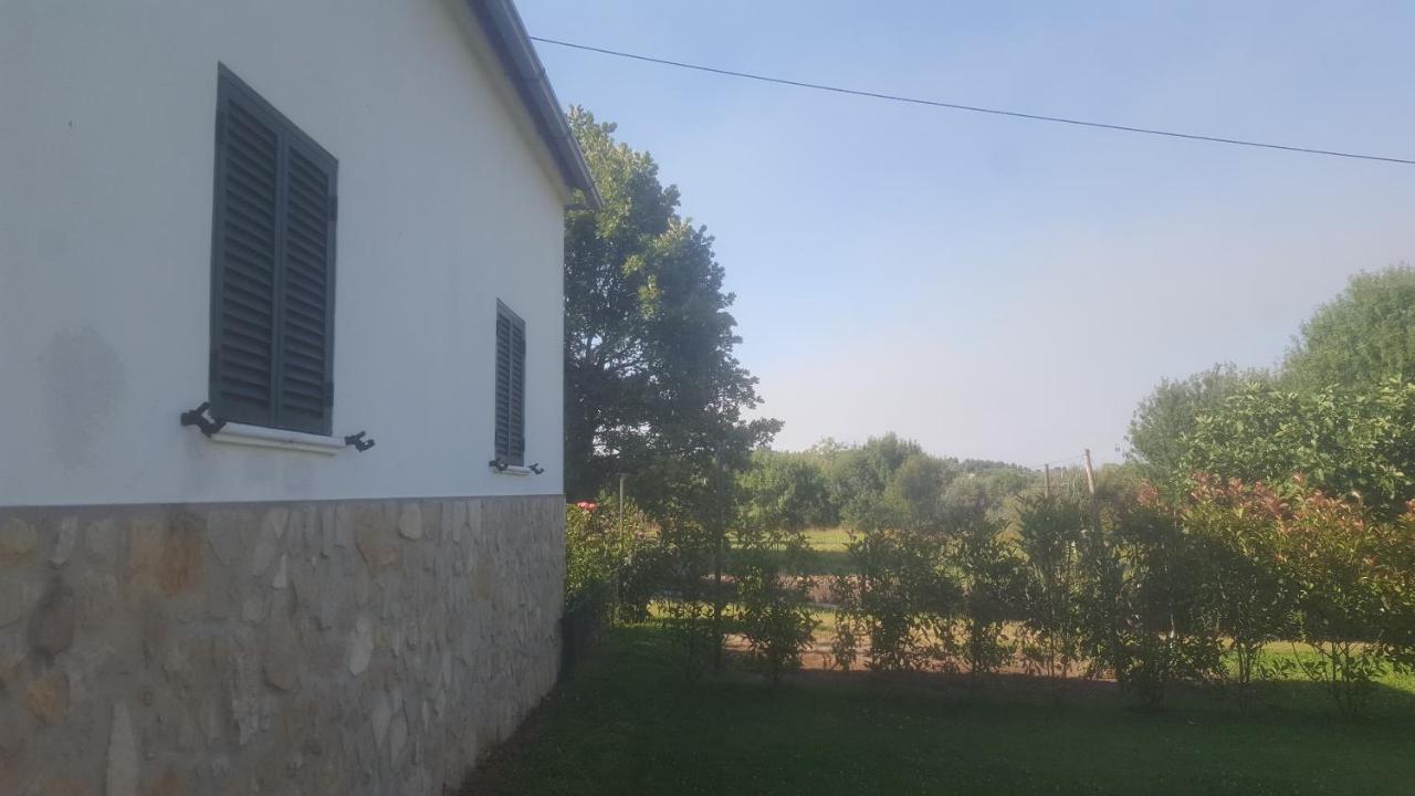 Quinta Do Serrado De Belmonte Belmonte  Esterno foto