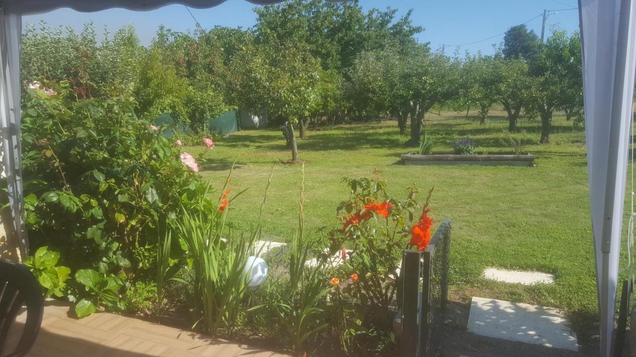 Quinta Do Serrado De Belmonte Belmonte  Esterno foto
