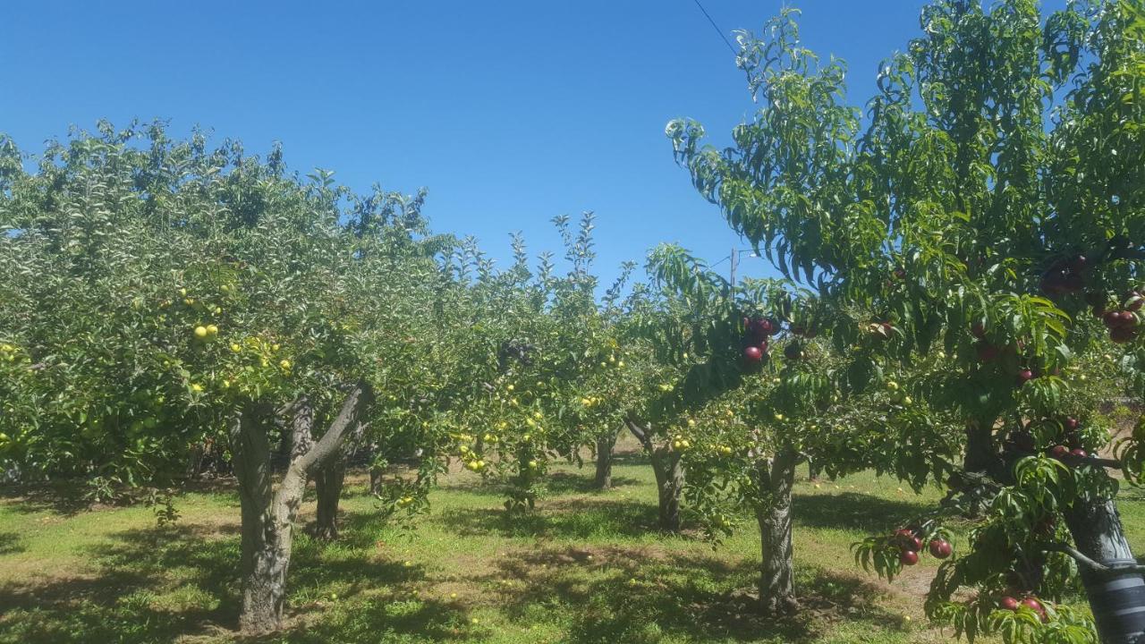 Quinta Do Serrado De Belmonte Belmonte  Esterno foto